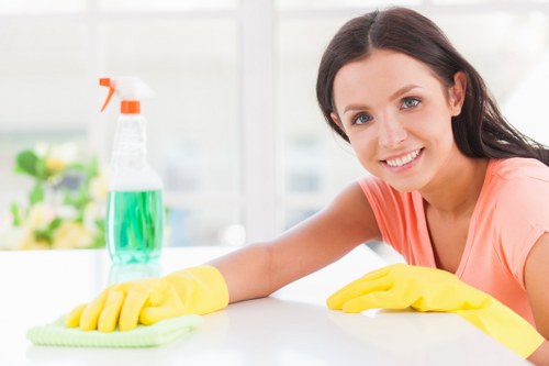 Cleaning company servicing a Putney home with local property care