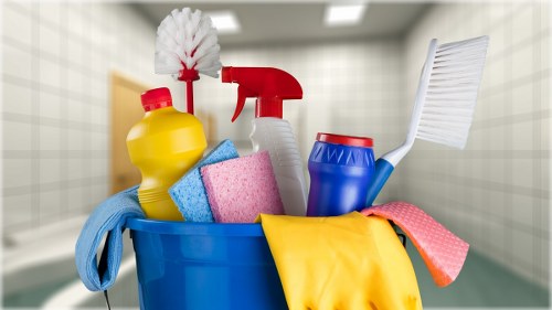 Professional carpet cleaning for a Putney home interior