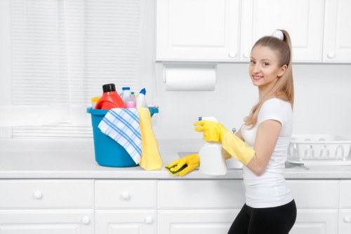 Regular house cleaning support for a Putney household
