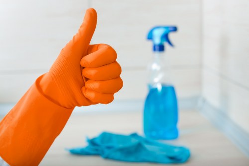Bathroom descaling and deep cleaning in a Putney apartment