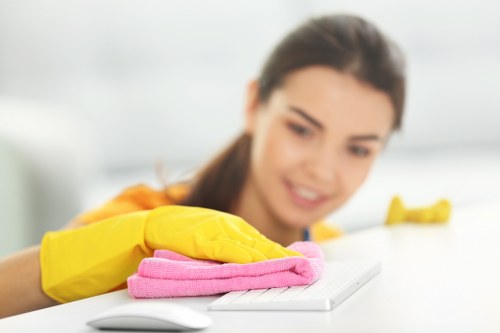 Final review of an oven cleaning service before completion