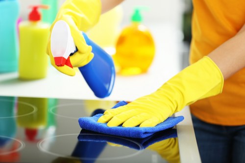 Professional domestic cleaner working in a Putney kitchen
