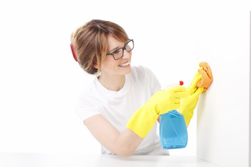 Deep carpet cleaning treatment for high-traffic areas in Putney