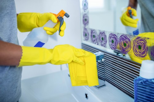 Regular domestic cleaning service for Putney residents and apartments