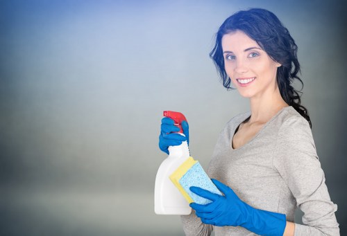 Regular window cleaning for flats and modern buildings in Putney
