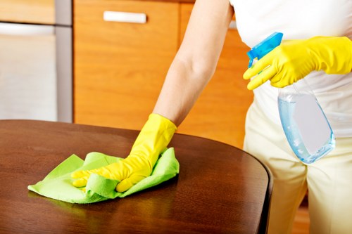Professional cleaner maintaining a Putney office kitchen and shared facilities